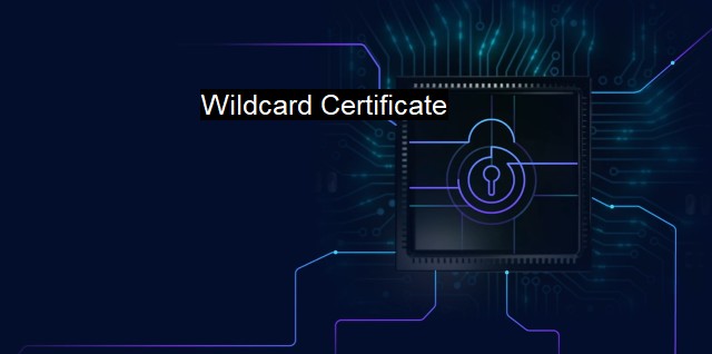 What Is Wildcard Certificate? A Guide To Wildcard Certificates